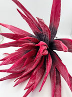 Rama Agave Burgundy