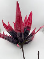 Rama Agave Burgundy