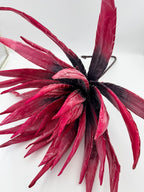 Rama Agave Burgundy