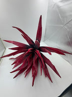 Rama Agave Burgundy