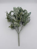 Rama Dusty Miller