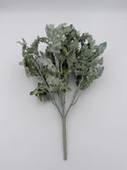 Rama Dusty Miller